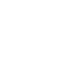 ICONE + LOGO KOCHER